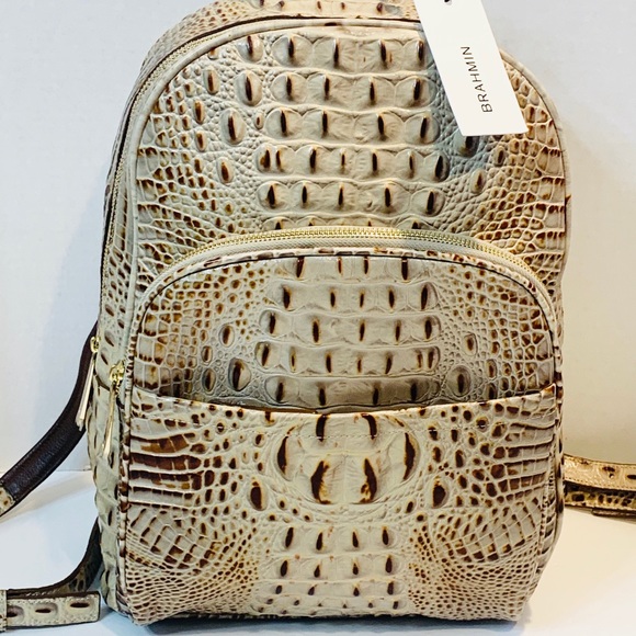 brahmin backpack large